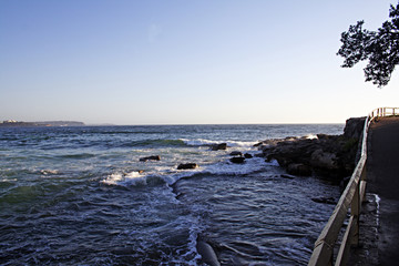 Rocks and waves at Sunrise. Manly. Australia.