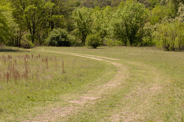 path in the park . Spring season 