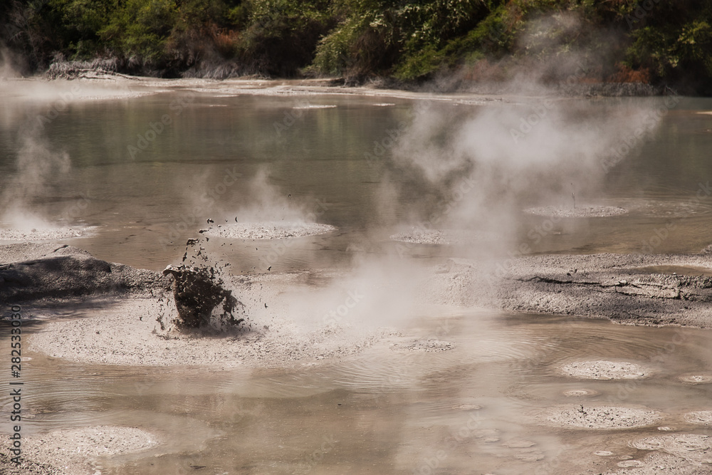 Wall mural mud pool at wai-o-tapu geothermal area near rotorua, new zealand