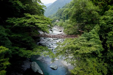  祖谷のかずら橋 日本の四国地方　徳島県にある葛でできた橋です　祖谷のかずら橋観光名所です