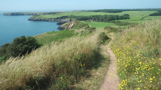 Coast path at Stackpole Head