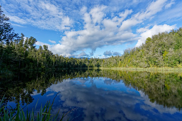 Fototapeta na wymiar Lake Hanlon, Kahurangi National Park, west coast, New Zealand.