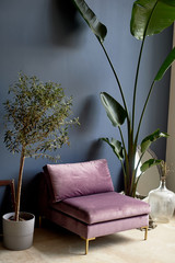 Purple chair against a dark blue wall. Plants in tubs.