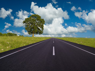 View of asphalt road stretching between meadows