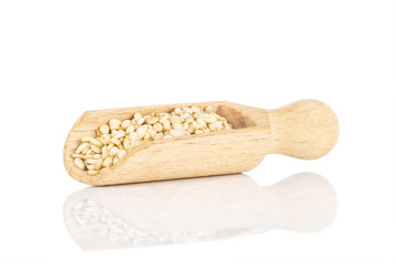 Lot of whole unpeeled sesame seeds with wooden scoop isolated on white background