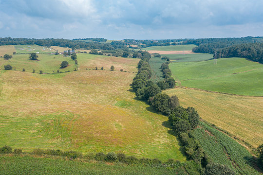 Aerial View over Green Countryside Fields at Summer