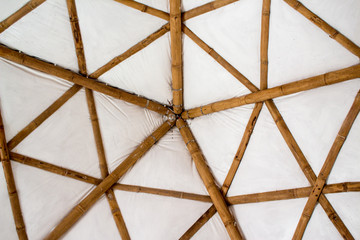 techo bambu