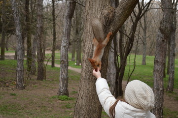 Girl in the forest feeding small squirell