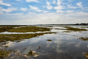 landscape with lake and sky
