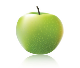green apple vector