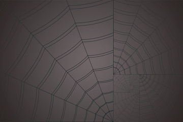 golden spiral white web on a gray background