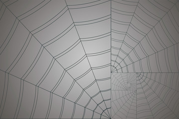 golden spiral white web on a gray background
