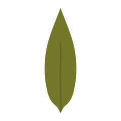 leaf plant garden nature icon