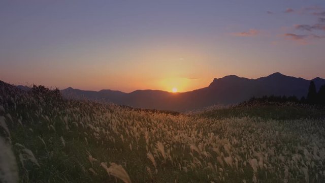 Mongolian-Manchurian steppe, beautiful sunset.