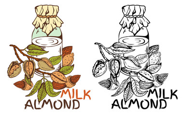 Vector illustration of sketch hand drawn vintage black and white and colorful Almond Milk label. Organic vegan food logo isolated on white background. Line Art