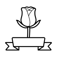 rose flower garden with ribbon frame