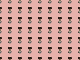 Amanita. Botanical seamless pattern with red mushrooms. Natural elements hand painted with color pencils. Floral watercolor background