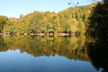 Fototapeta na wymiar autumn leaves reflecting in water