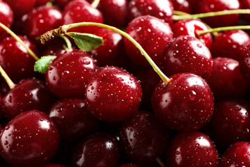 Delicious ripe sweet cherries with water drops as background, closeup view