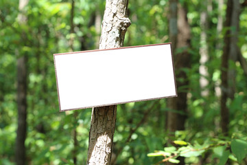 White blank screen sign board on tree at the park.