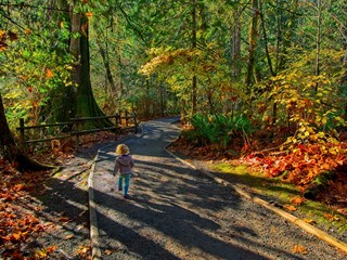 Goldstream Park