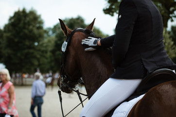 Reiterin lobt ihr Pferd auf einem Turnier