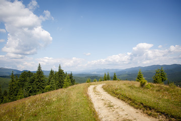Fototapeta na wymiar Carpathian landscape. Dirt road in the mountains. Hiking. Rural landscape in Carpatians, Ukraine. Young spruces coniferous forest and beautiful sky. Panorama of mountains from Mount Kostrycha, Ukraine