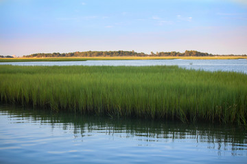 Waterway Marsh Grass
