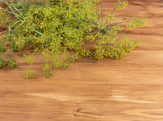 Dill sprigs on brown wooden background, below is empty space