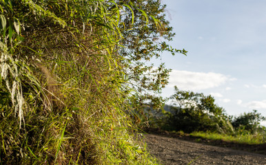 Carretera destapada al amanecer