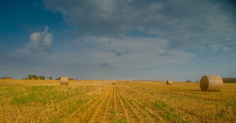 Nice view of the wheat field with wheat straw bales