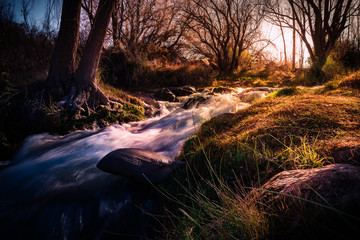 Evening next to the river
