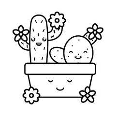 cactu and flowers in ceramic pot kawaii