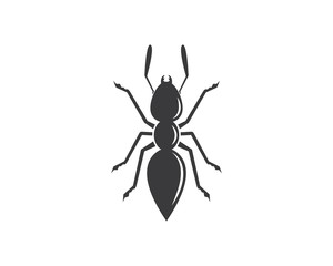 Ant icon vector illustration design