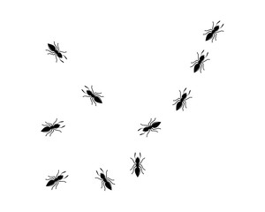 Ant icon vector illustration design