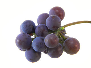 grape isolated on white background