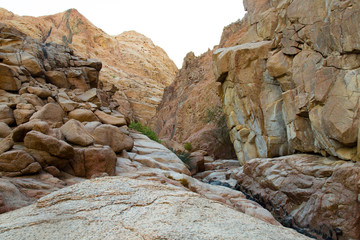mountains and rock formations in the sinai desert 