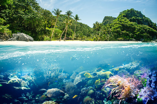 Korallen Riff mit paradiesischen Strand