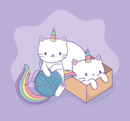 cute cats with rainbow tail and carton box kawaii characters