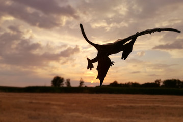 Silhouette of a Pteranodon at nightfall. Carnivorous dinosaur flying over Spanish National territory, UE airspace, over a rural area of the agricultural cereal field. A reptile from the Jurassic. © Tenebroso