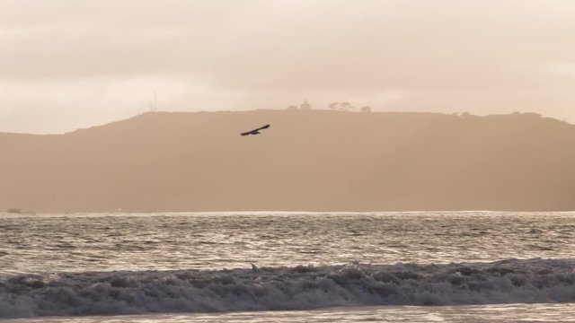 Camera Follows Seagull Flying, Screen Left To Screen Right, In Slow Motion On Coronado, California, Beach At Sunset