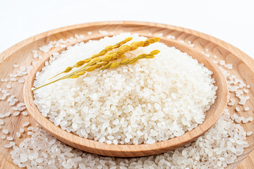 Golden rice ear and white round grain northeast rice