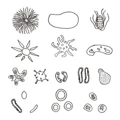 A set of bacteria and viruses.