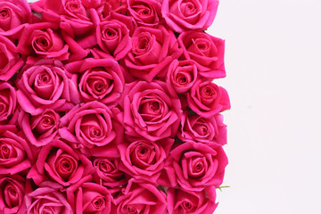 白背景にピンクの花束