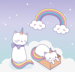 cute cats with rainbow tail and carton box kawaii characters