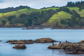 Fishing alone on the beach