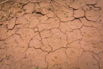 Barren soil that is dehydrated