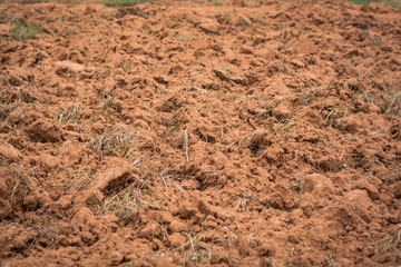 Barren soil that is dehydrated