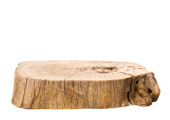 Beautiful texture of old tree stump table top on white background.