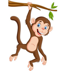 Cartoon monkey hanging in tree branch © tigatelu